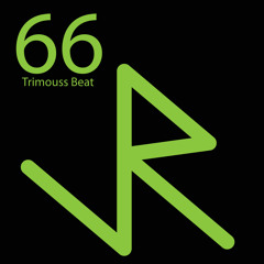 TrimoussBeat - 66 - Out on Junky robot 64