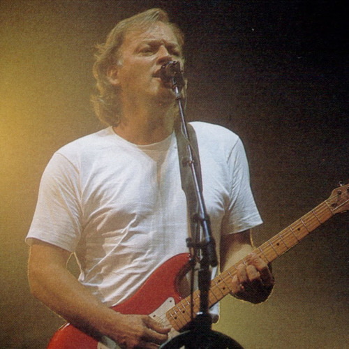Pink Floyd - Coming Back to Life (live in New Jersey, 17-07-1994)