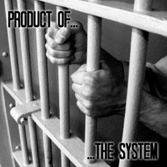 Product Of The System (Instrumental)