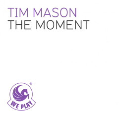 Tim Mason - The Moment (Steve Angello Edit)