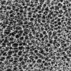 Douce tempête du matin