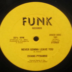 Evans Pyramid - Never Gonna Leave You (Funk)