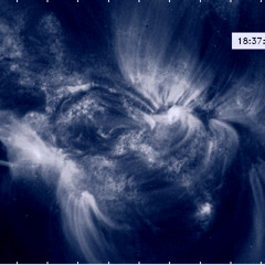 Capitan Commodore - Solar Moss