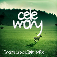 Celemony - Indestructible Mix
