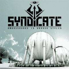 SYNDICATE 2011 Promomix by Boris S.