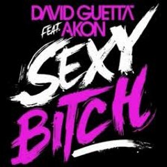 (Remake) David Guetta feat Akon - Sexy Bitch (Dj Chuckie & Lil Jon Remix)