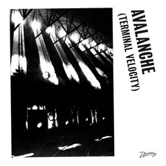 Avalanche (Terminal Velocity) (Ewan Pearson's Deeper Underground Re-Version)