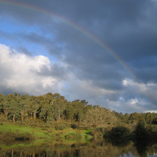 Stream Pond Life by kangaroovindaloo Listen online for free on SoundCloud