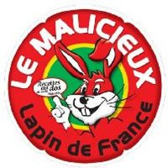 Reuptek - Civet au gaz moutarde