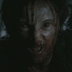 Carnivore
