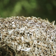 Some live MPC1000 testing