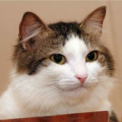 Nyan Cat - Jazzlike Version