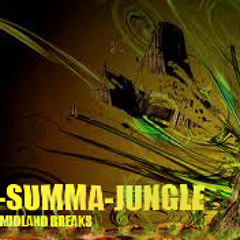 Andy H   MID-SUMMA-JUNGLE