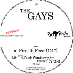 The Gays - Fire To Feed (WASTER electro remix 2)