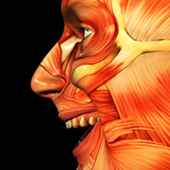 Jawclencher ---clip---