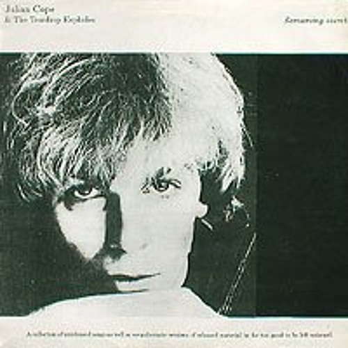 The Teardrop Explodes - Flipped Out On LSD