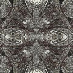 Do You Wanna Take a Look?