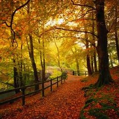 Oliver Schories - My Autumn (Mixtape September 2011)