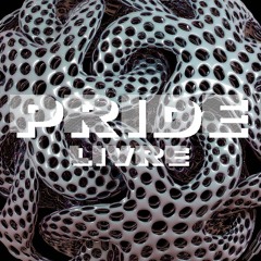 Whtiney Houston - Whatchulookinat 2007 ( Pride Livre Dub).mp3 320kbps
