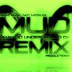 Low Low Mix (iky remix) M.U.D