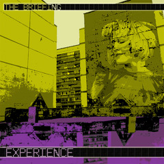 The Briefing - Experience