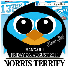 Norris Terrify LIVE! 13th Summer Spirit Festival, DE - Hangar 1 - August 26 - 2011