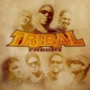 reggae-party-tribal-theory