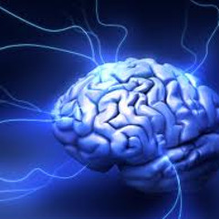 INTELLIGENCE v.s. GENIUS