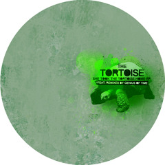 B1. The Tortoise - Last Night (Undertones 12)