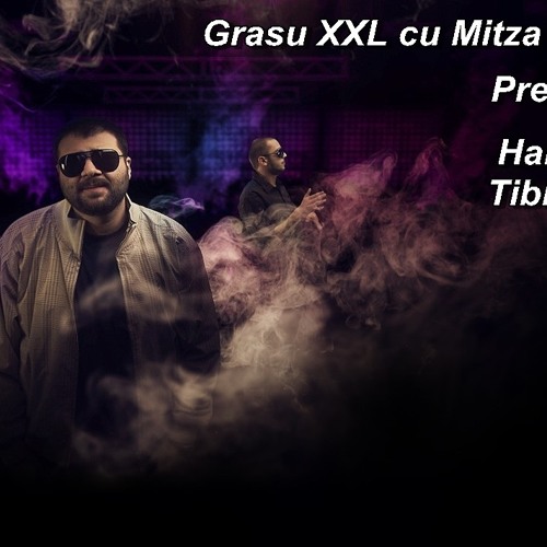 Grasu XXL cu Mitza (AGRESIV) - Prea Mult Fum ( Halas Daniel & Tibi dJ Remix )