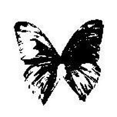 Black Butterfly