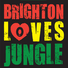 Equinox, X-Nation and DJ Raw at Brighton Loves Jungle @ Concorde 2 26-08-2011