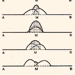 Zi-CKA in the Head - Lento sovrapporsi [serial nerd mix]