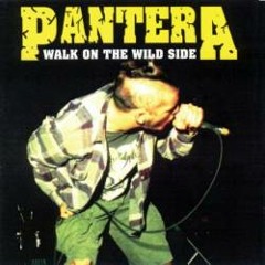 Walk - Pantera (Metabolic Remix)