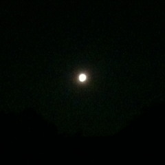 Supreme Being (w  Jon Milles)