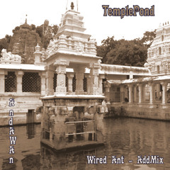 TemplePond - (Wired Ant Add-Mix/AndAWan)