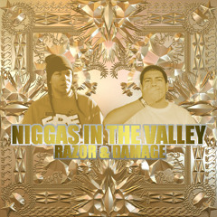 Niggas In The Valley (Niggas In Paris REMIX) by: Damage ft. RAZOR ===>DOWNLOAD NOW<===