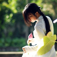Bốn Mùa Thay Lá