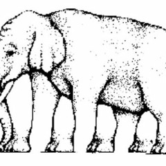 Elefante