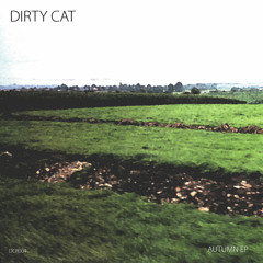 Dirty Cat - Sunrise