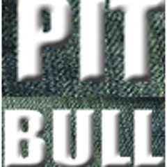 Pitbull 09.10.2011 (DJ Set)