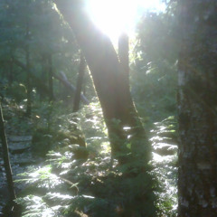 LOST (FINAL VERSION)