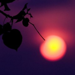 Cafe Del Mar 9 Jo Manji- beyond the sunset