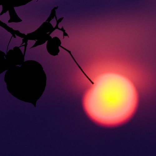 Cafe Del Mar 9 Jo Manji- beyond the sunset