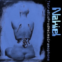 Les Fleurs Du Mal (Comselha) [Remix of Biosphere / Deathprod's remix of Arne Nordheim]