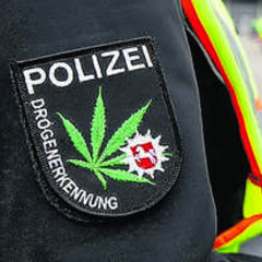 Shimmyshimmyyameetsyaggayaggayo