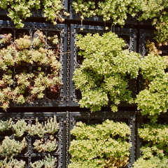 Floating Gardens - "Rhizome's Logic"