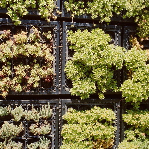 Floating Gardens - "Rhizome's Logic"