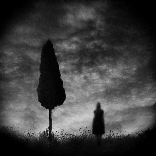 David Sylvian Brilliant Trees David Sylvian Brilliant Trees