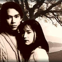 The Lizard's Convention - Wooden Heart